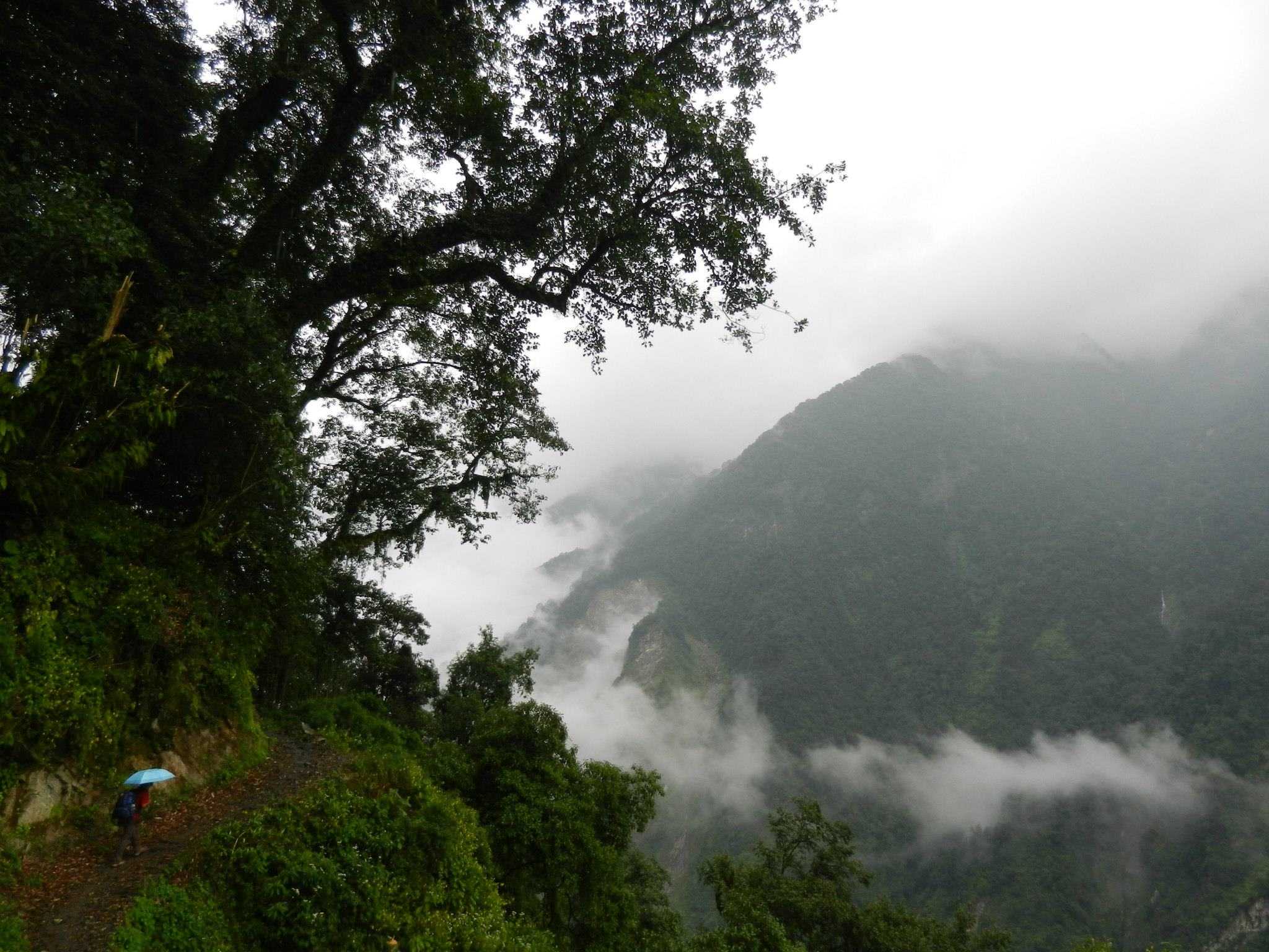 Misty path through high green hills